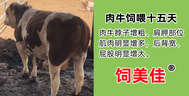 牛羊催肥飼料添加劑全國包郵