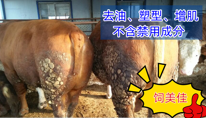 牛羊催肥添加劑怎么選 飼美佳牛羊催肥劑廠家發(fā)貨