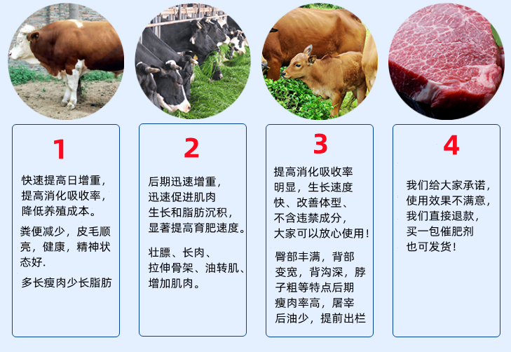 育肥牛飼料添加劑塑型長(zhǎng)瘦肉 改善體型廠家包郵