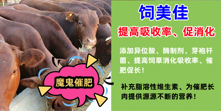 牛羊催肥喂什么飼料添加劑能增肌長瘦肉？