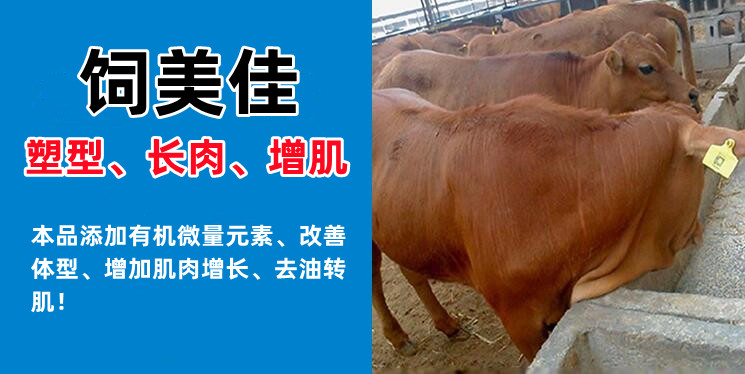 牛羊催肥飼料添加劑有哪些 增肌催肥劑廠家直銷