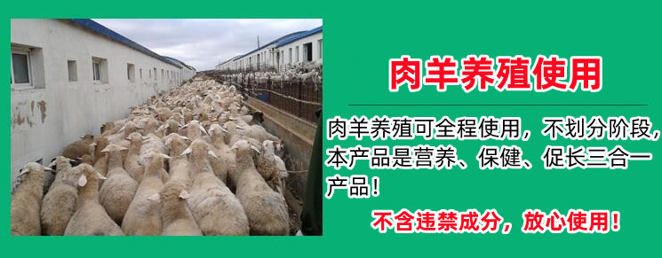 增肉去油牛飼料催肥劑應(yīng)該怎么選擇