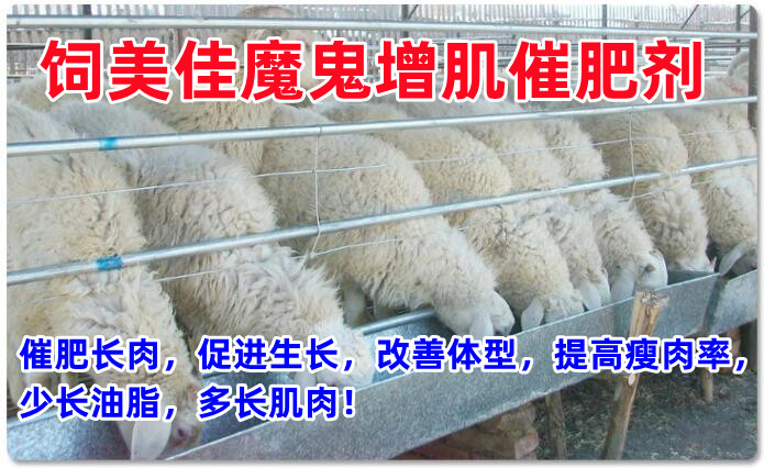 牛羊催肥飼料添加劑