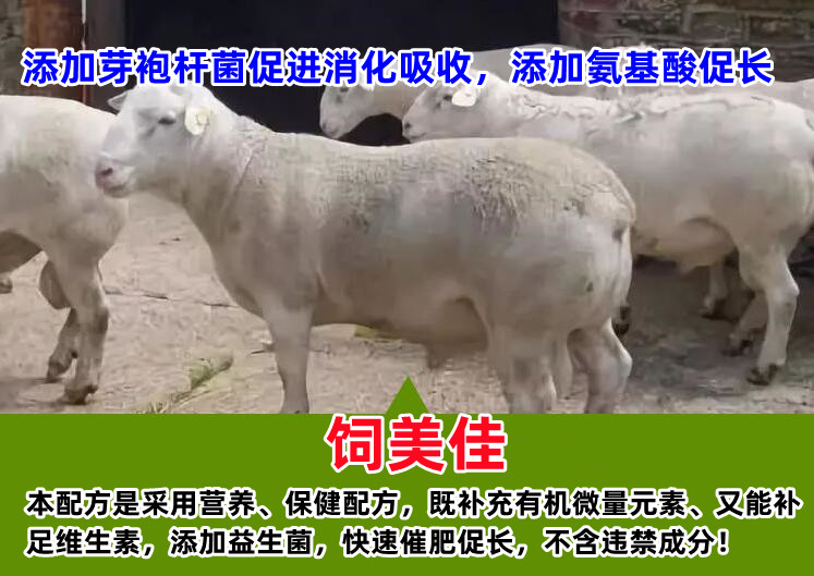 牛催肥飼料添加劑有哪些？魔鬼牛催肥劑值得一試！