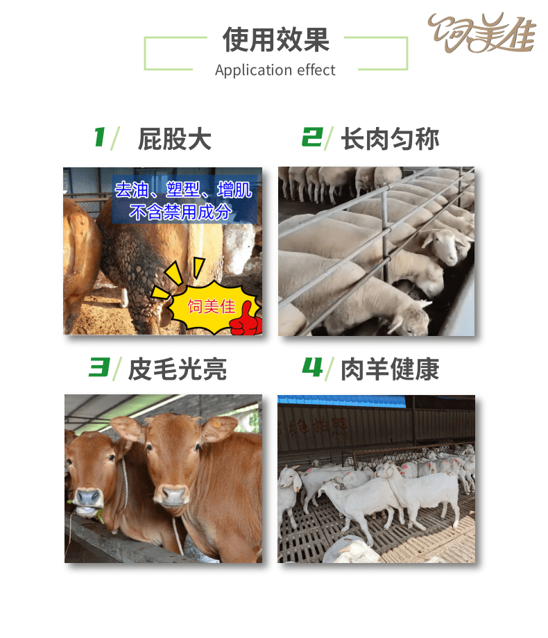 牛專用催肥添加劑 改善體型長瘦肉 牛羊催肥增重產(chǎn)品直發(fā)