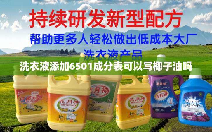 洗衣液添加6501成分表可以寫椰子油嗎