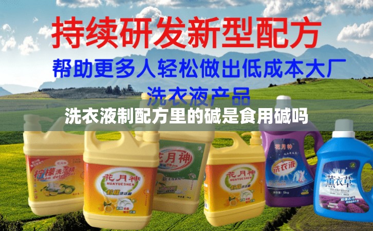 洗衣液制配方里的堿是食用堿嗎