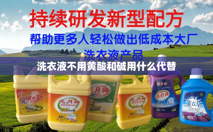 洗衣液不用黃酸和堿用什么代替