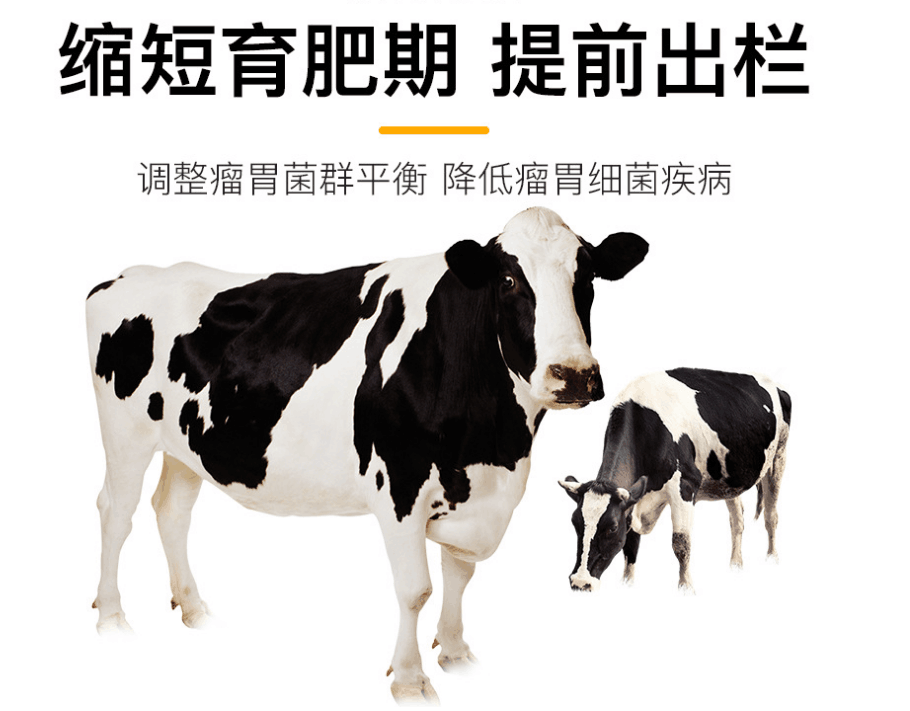 牛催肥飼料添加劑有哪些？肉牛增重催肥劑