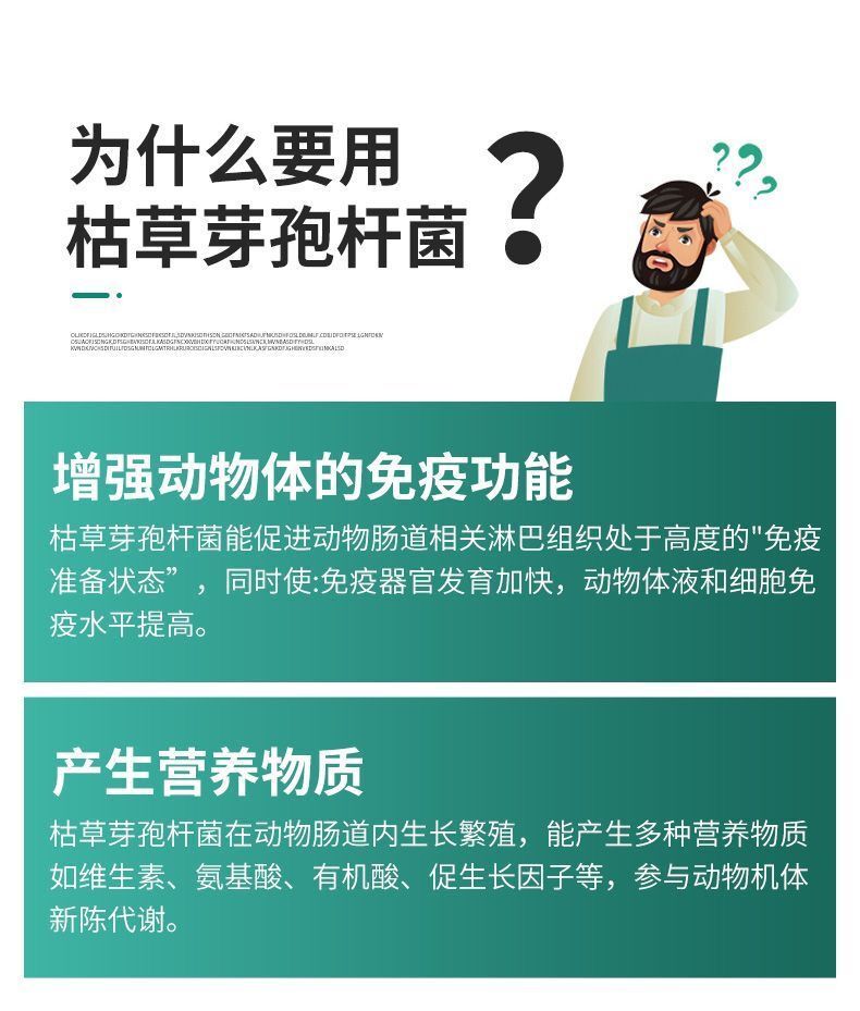 牛喂為什么長得快 肉牛催肥劑 牛催肥飼料添加劑