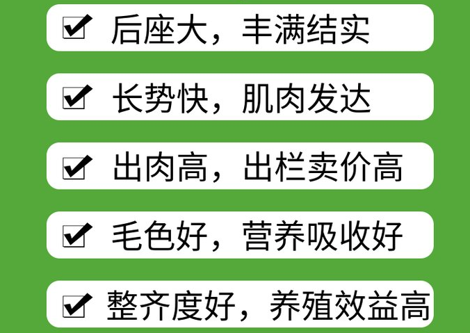 羊用催肥激素藥有哪些？