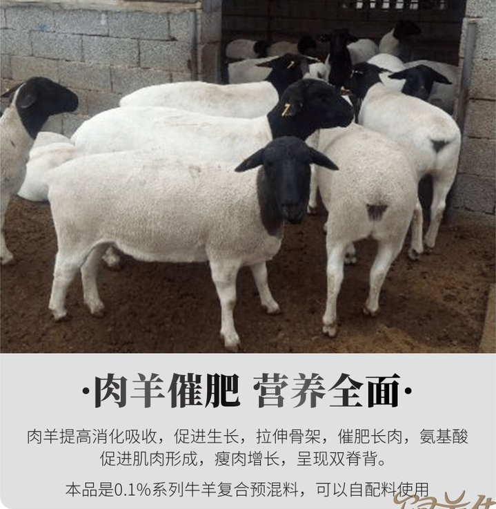 飼料添加劑催肥用什么好？