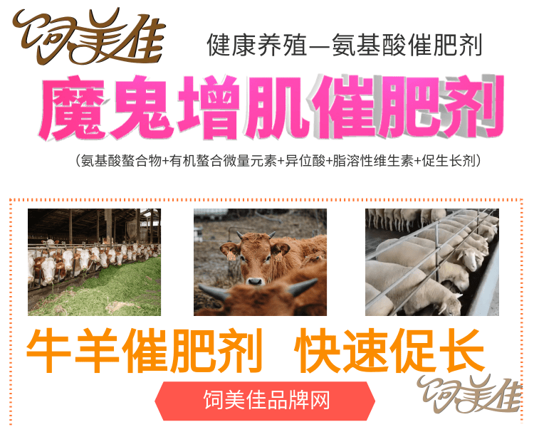 肉牛增肥劑 牛專用催肥添加劑 壯鏢長骨廠家直發(fā)