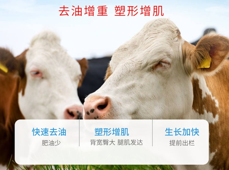 肉牛增重添加劑 提高長(zhǎng)肉速度小料 廠家發(fā)貨35元一包