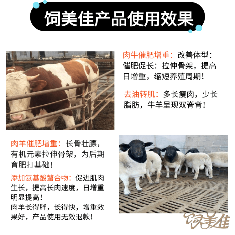 牛羊快速催肥飼料配方