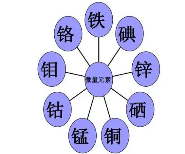 牛喂微量元素是補啥營養(yǎng)的