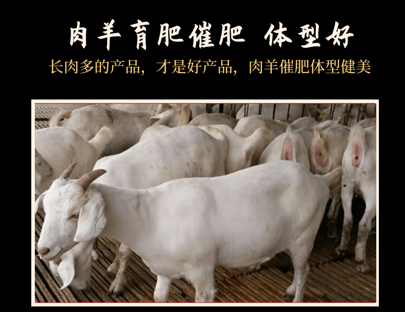 羊促長劑催肥 飼料添加劑35一包