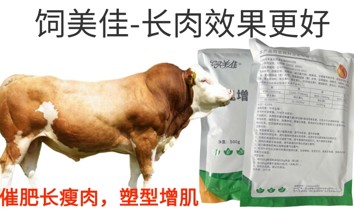 肉牛養(yǎng)殖減少肥肉的藥物有哪些